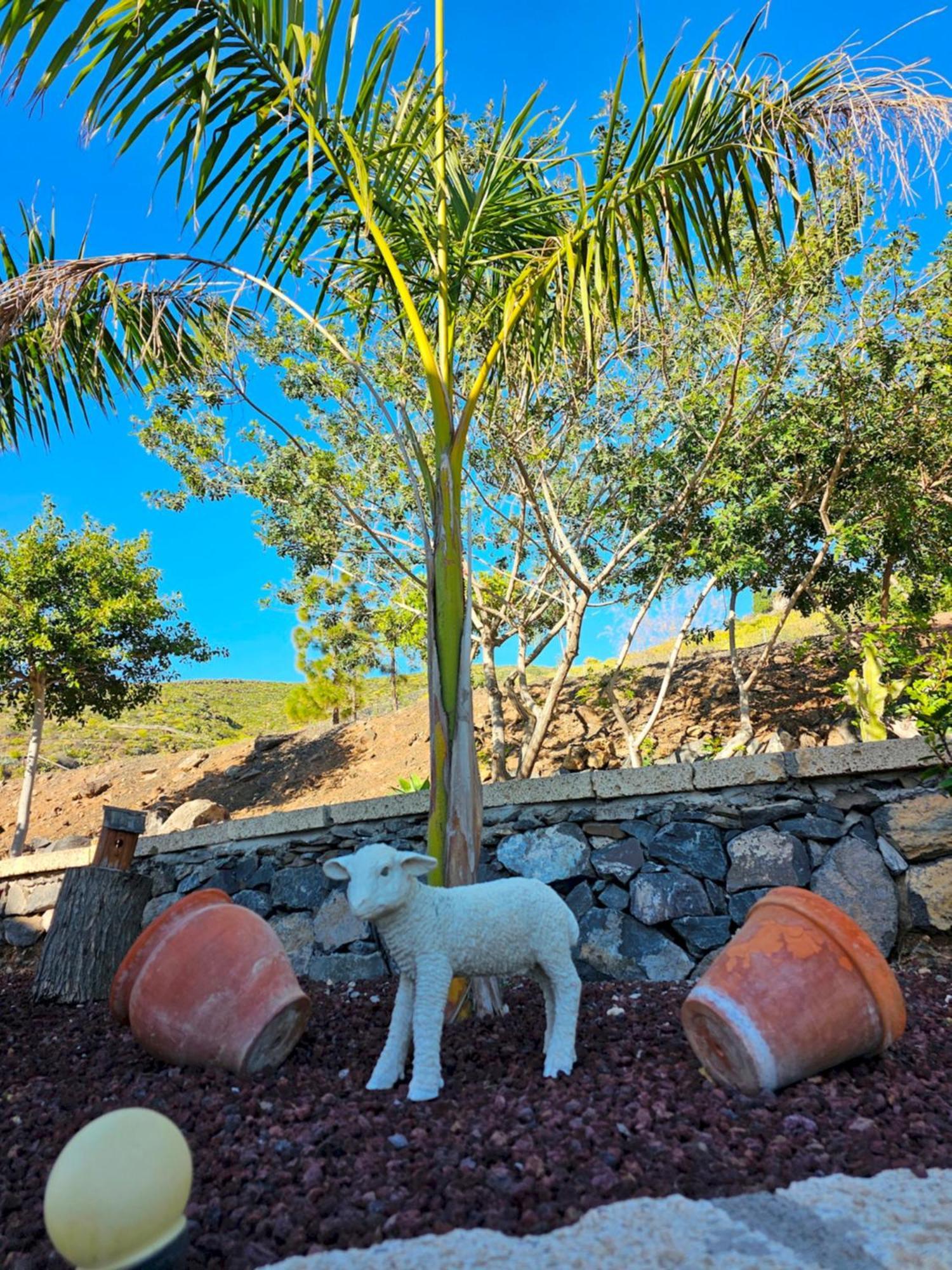 Villa Carlitos Vistas Al Mar Y A La Montana Costa Adeje  Zewnętrze zdjęcie